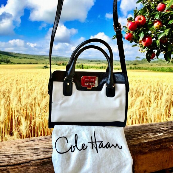 Cole Haan Leather Handbag Satchel Double Handles Detachable Crossbody St… - Picture 3 of 14